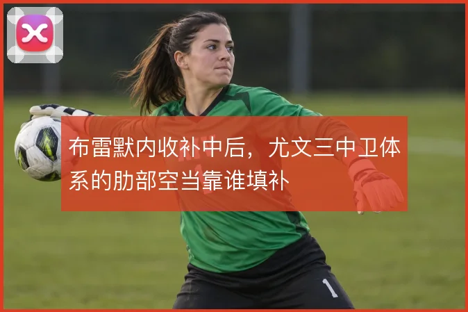 布雷默内收补中后,尤文三中卫体系的肋部空当靠谁填补