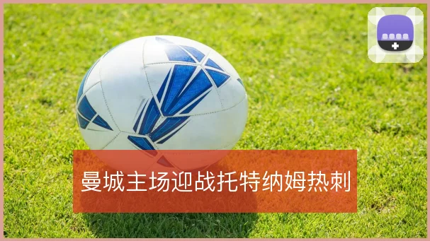 曼城主场迎战托特纳姆热刺